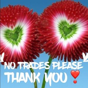 🌴No trades available🌴